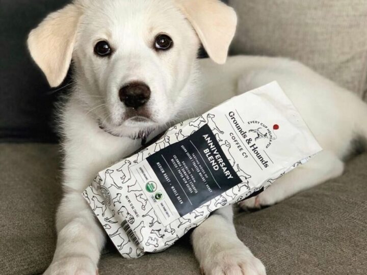 Now Partnering with Grounds & Hounds Coffee!